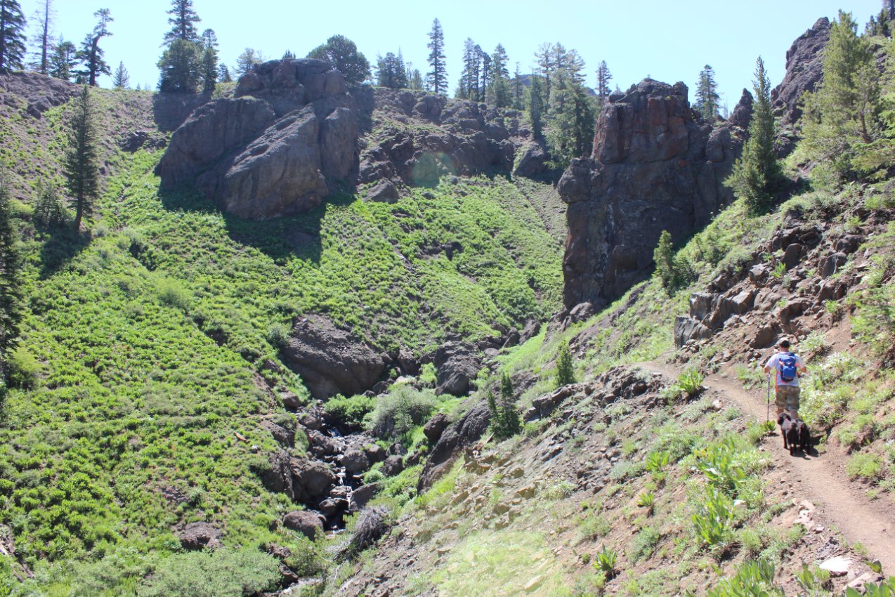 Ebbetts Pass to Noble Lake PCT Hike